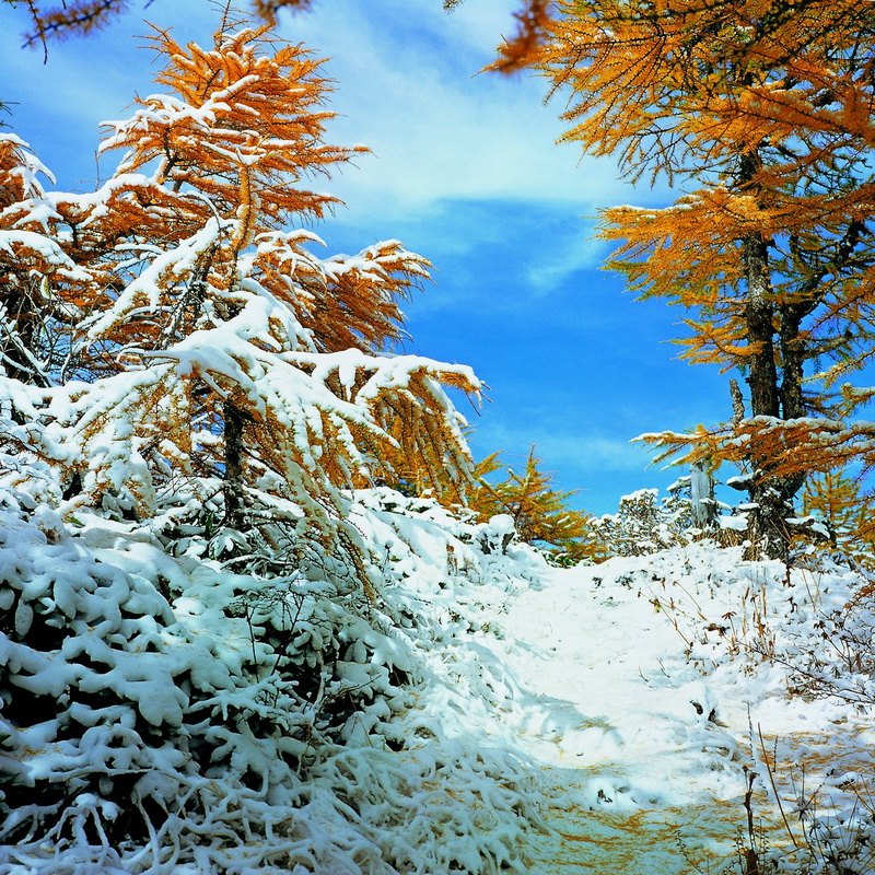 Landscape of the Taibai Shan – ZHANG Xiaogang