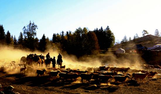 "Pasture Shift”